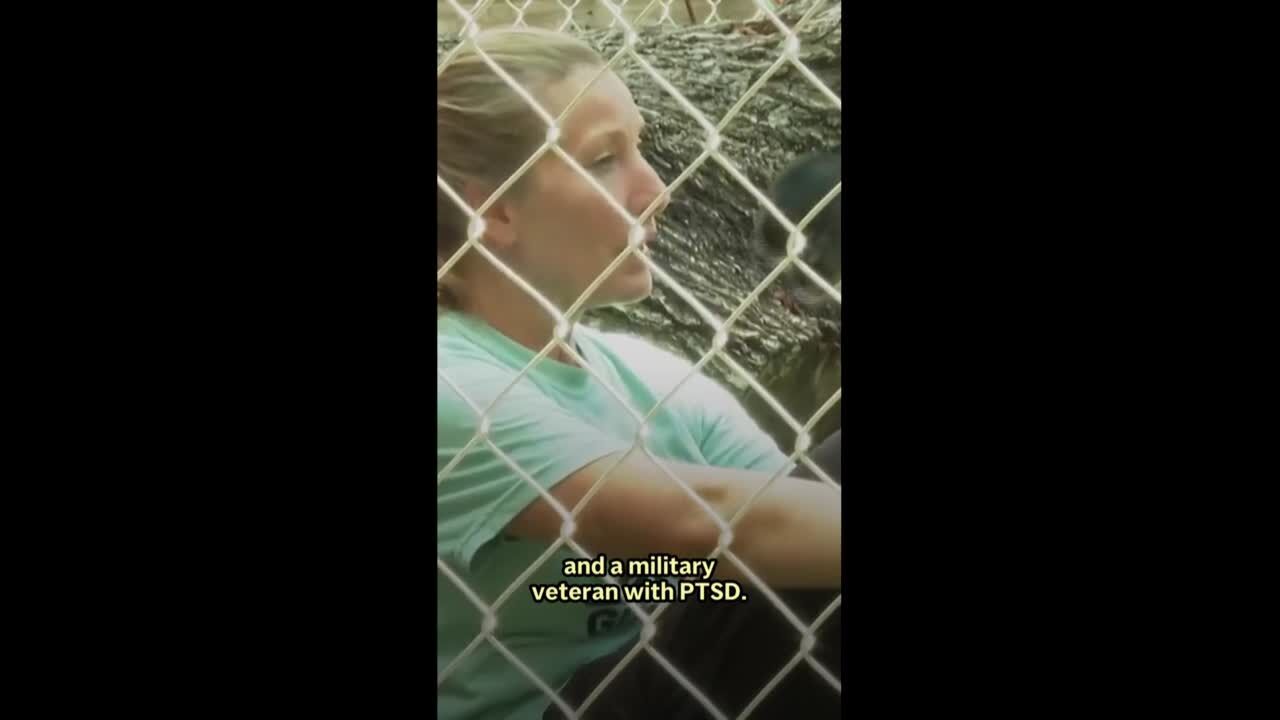 Mississippi monkey sanctuary helps veterans cope with PTSD